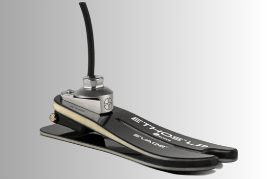 Terrain Adaptability & Shock Absorption